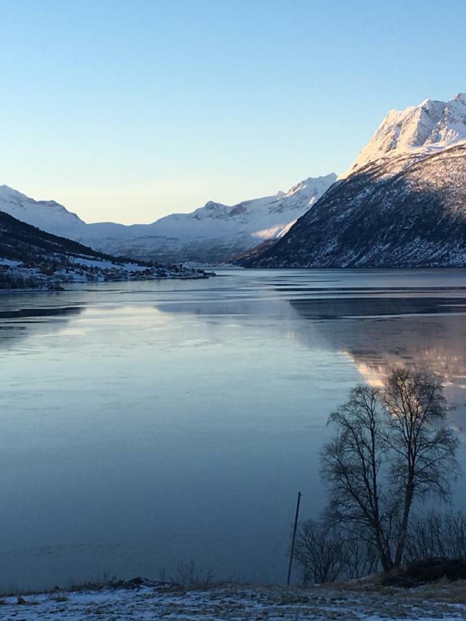 Tennevoll Apartment With Fjord View المظهر الخارجي الصورة