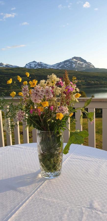 Tennevoll Apartment With Fjord View المظهر الخارجي الصورة