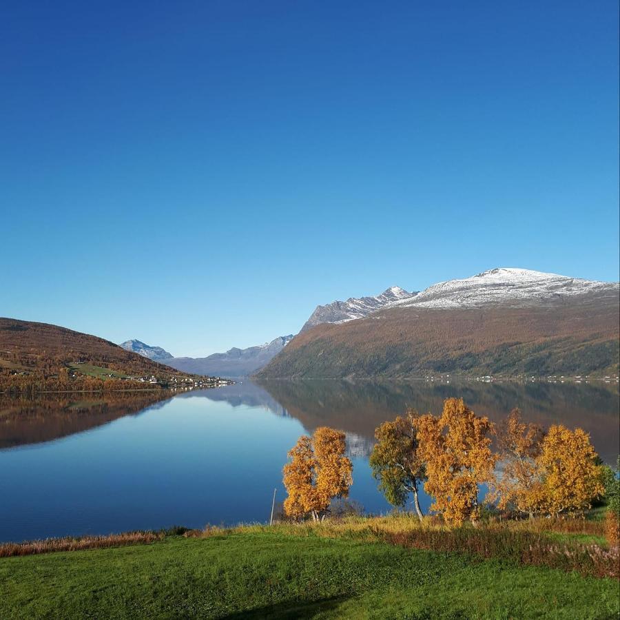 Tennevoll Apartment With Fjord View المظهر الخارجي الصورة