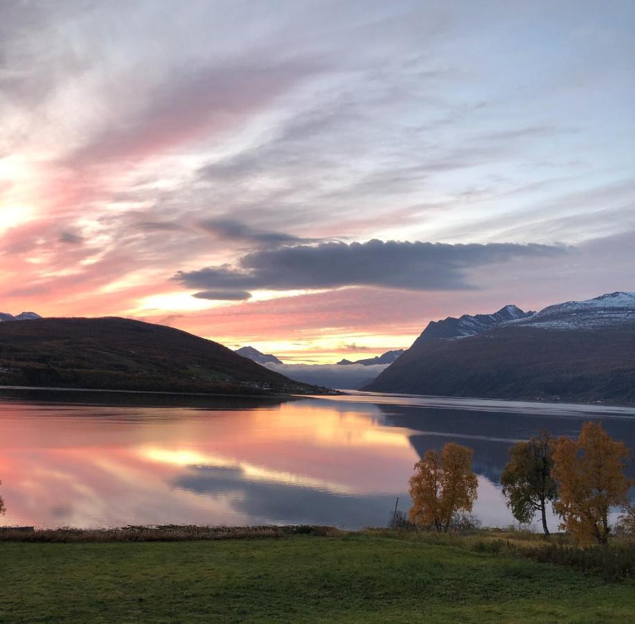 Tennevoll Apartment With Fjord View المظهر الخارجي الصورة